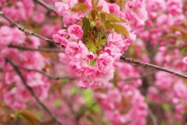湖州长兴线下个人借款平台一站式服务，轻松解决资金难题