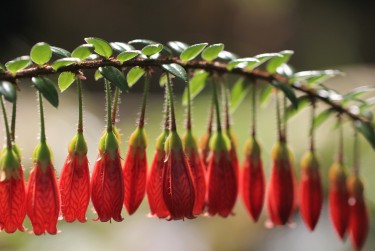 湖州长兴零用贷短借：轻松解决临时资金需求