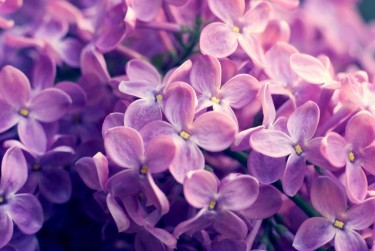 湖州长兴企业急用钱贷款攻略：快速融资解燃眉之急